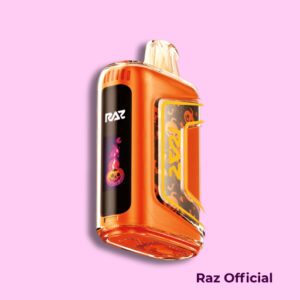 Apple Cinnamon - RAZ Vape TN9000