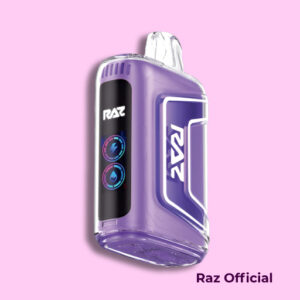 Grape Ice - RAZ Vape TN9000