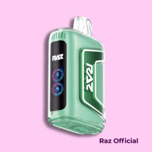 Miami Mint - RAZ Vape TN9000