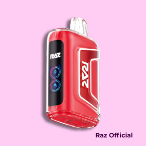 Watermelon Ice - RAZ Vape TN9000