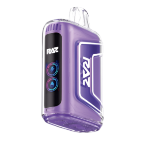 Grape Ice – RAZ Vape TN9000