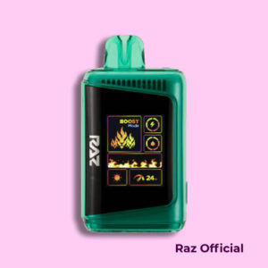 Winter Green - RAZ vape DC25000