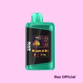 Jewel Spearmint Raz Vape – DC25K
